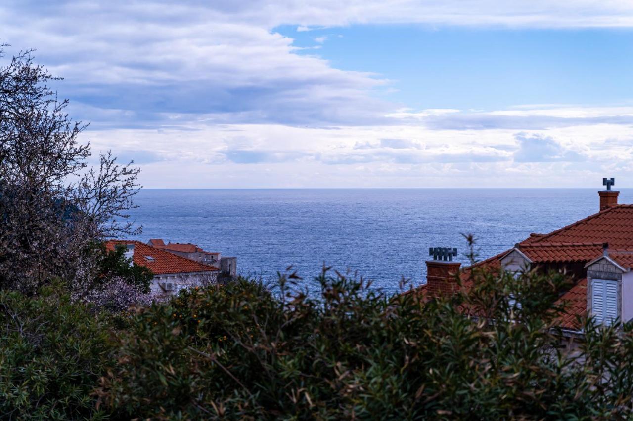 Apartment Aurelya Dubrovnik Bagian luar foto